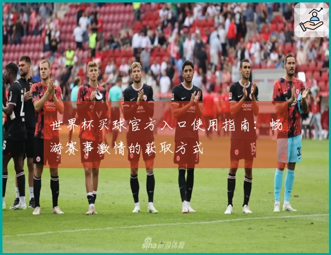 世界杯买球官方入口使用指南：畅游赛事激情的获取方式