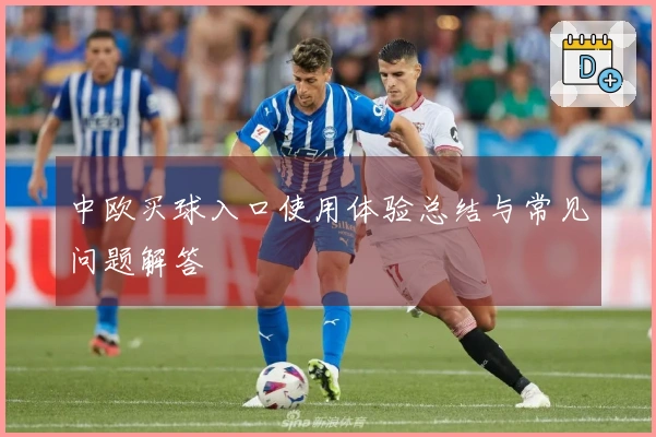 中欧买球入口使用体验总结与常见问题解答