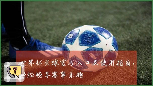 世界杯买球官方入口及使用指南，轻松畅享赛事乐趣