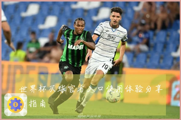 世界杯买球官方入口使用体验分享与指南