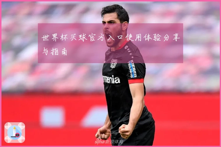 世界杯买球官方入口使用体验分享与指南